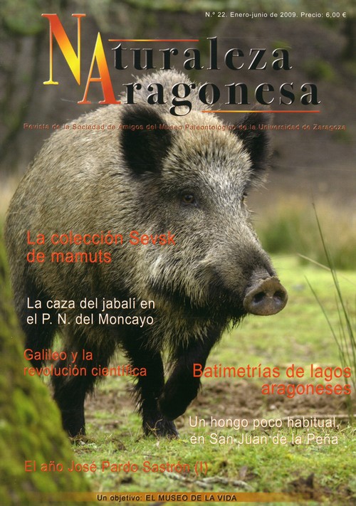 1059364413radA6267