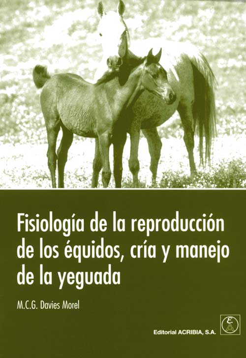 376869653radBE870