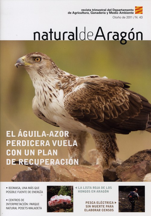 624467711radCAD1F