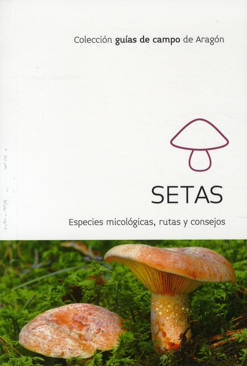 644986287radADEA2