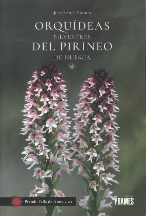 orquideas500
