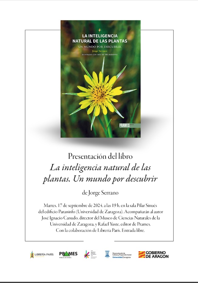 lainteligencia
