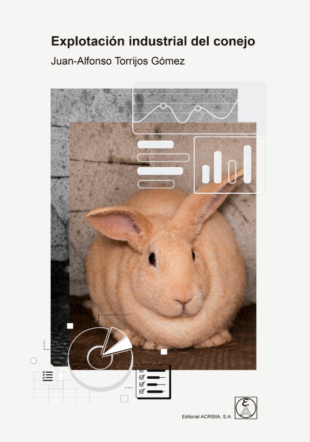 explotacio_conejo