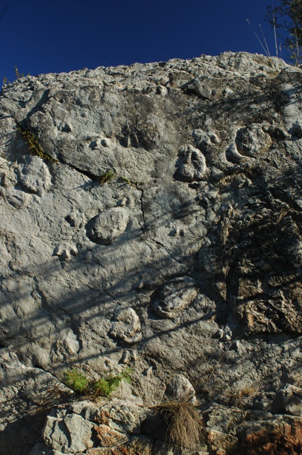 Huellas de dinosaurio (icnitas) en El Hontanar, Aguilar del Alfambra - Chabier de Jaime