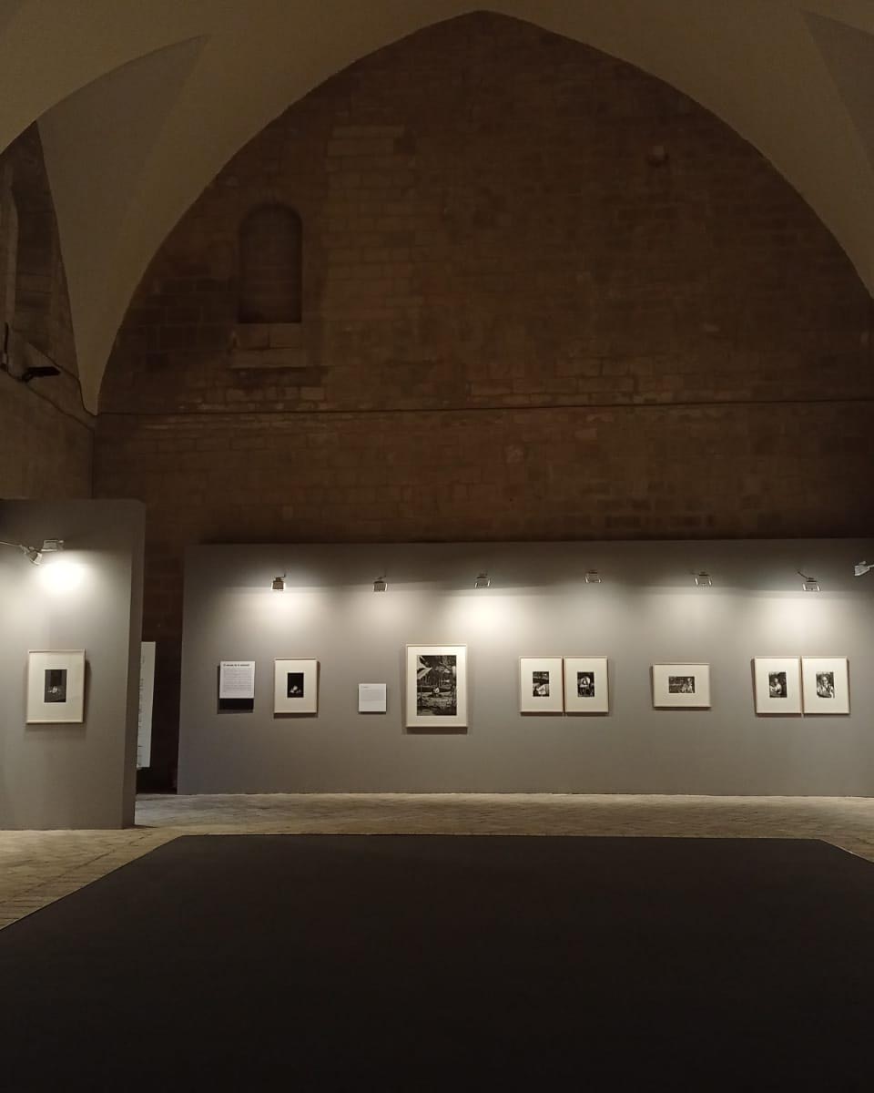 Masats. Buñuel en Viridiana. En el Museo de Huesca