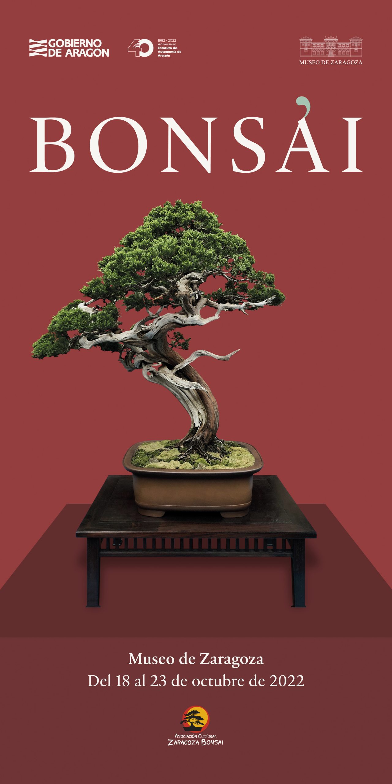 Arces y crisantemos. El otoño en el arte japonés- Muestra de bonsáis