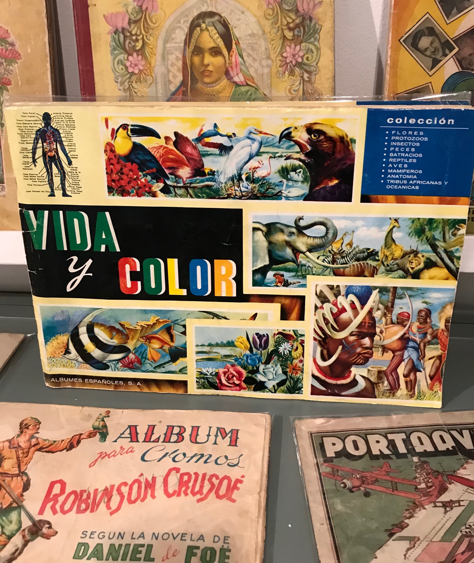 Vida y Color. Ediciones Álbumes Españoles S.A. Ediciones Heraclio Fournier Barcelona, 1965. Cuaderno grapa 25 x 35 cm. Cromos ilustrados a color.
