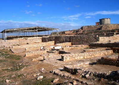Yacimiento de la Colonia Celsa, Velilla de Ebro