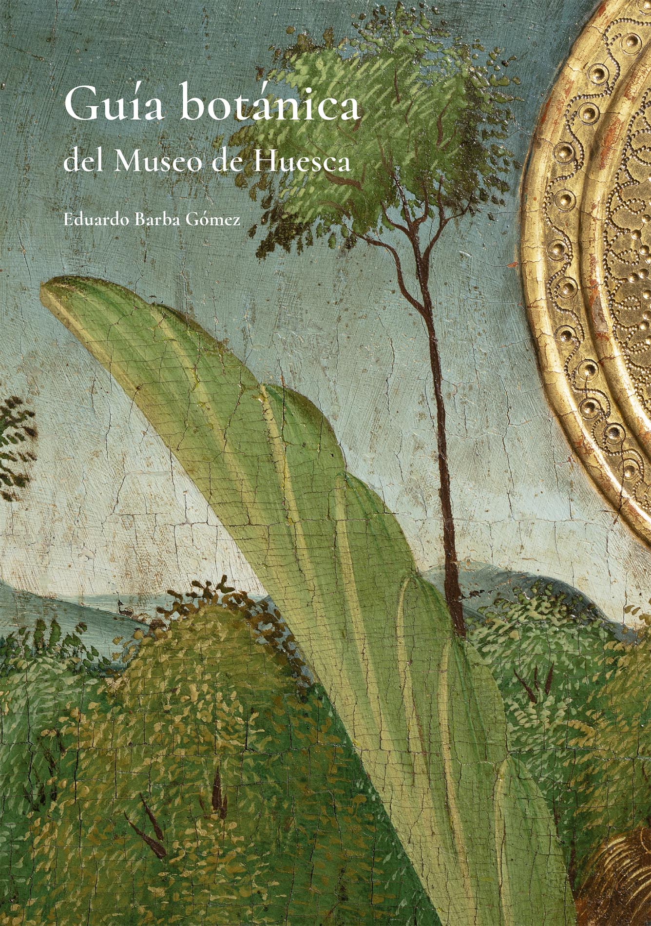 Guía botánica del Museo de Huesca, de Eduardo Barba